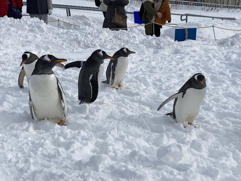 おたる水族館