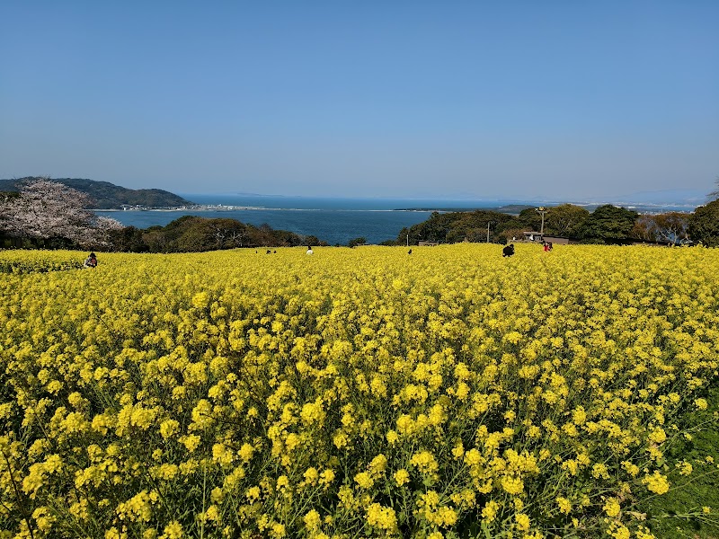 のこのしまアイランドパーク