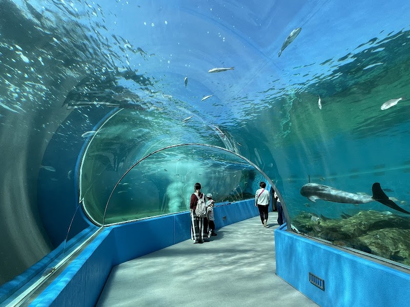 のとじま水族館
