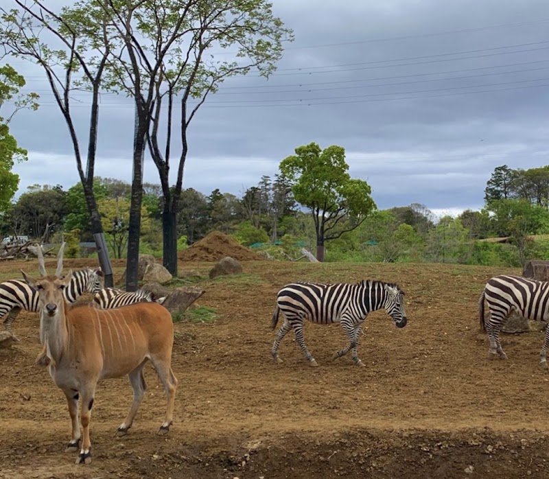よこはま動物園ズーラシア