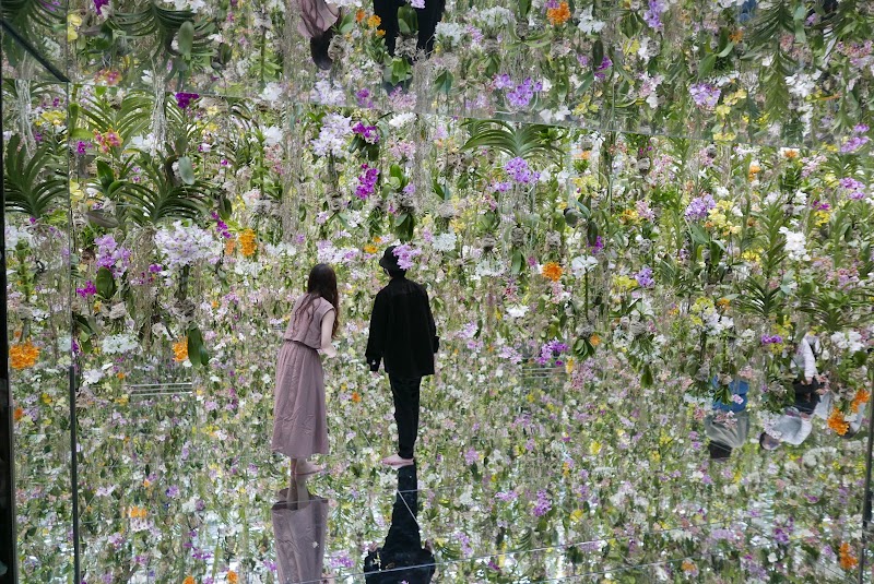 チームラボプラネッツ