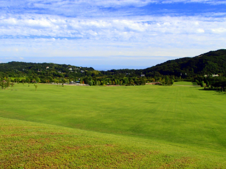 ニジゲンノモリ