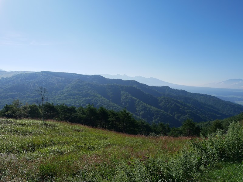 ビーナスライン