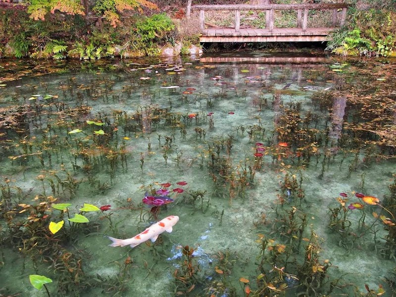 モネの池（根道神社）