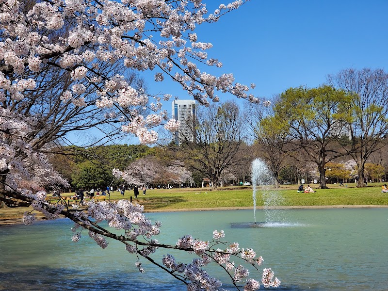 代々木公園