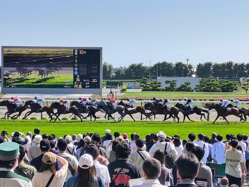 函館競馬場