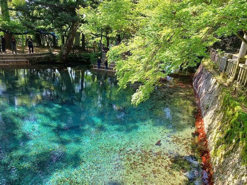 別府弁天池