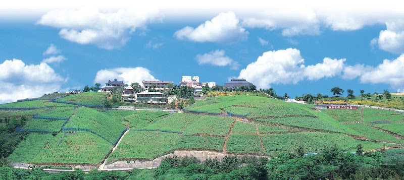 勝沼ぶどうの丘