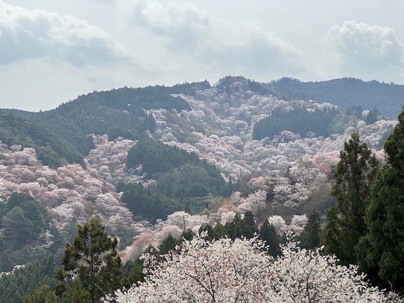 吉野山