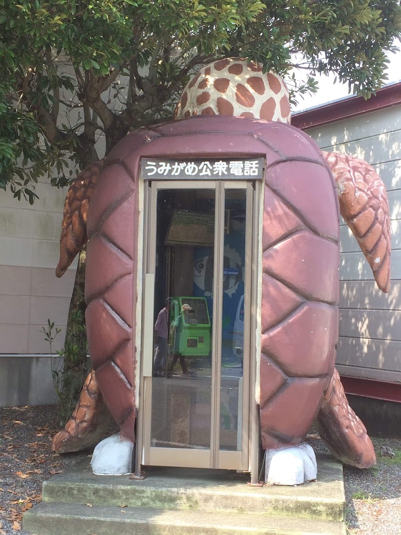 大浜海岸（ウミガメ産卵地）