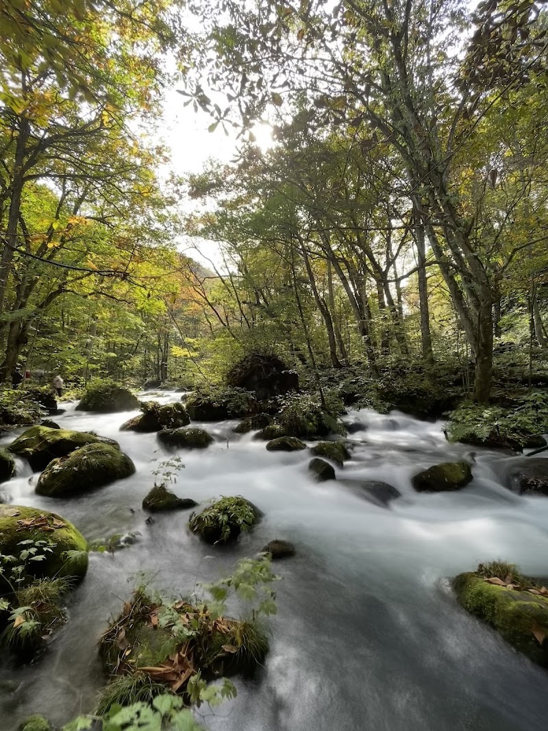 奥入瀬渓流