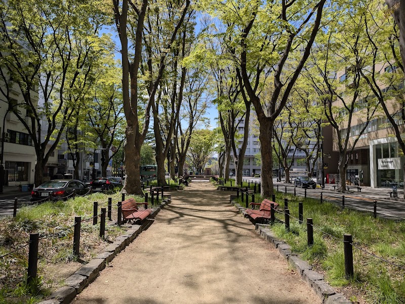 定禅寺通りケヤキ並木