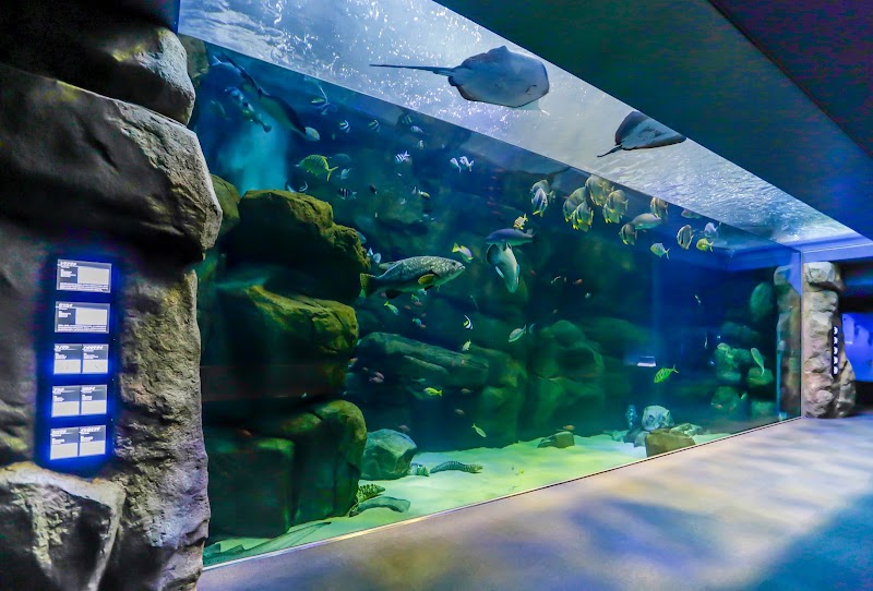 宮島水族館みやじマリン