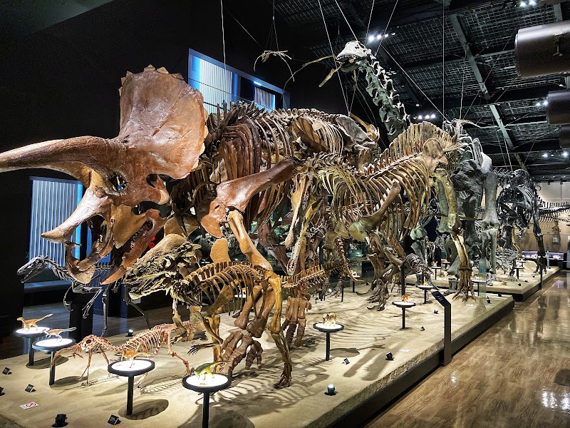 御船町恐竜博物館