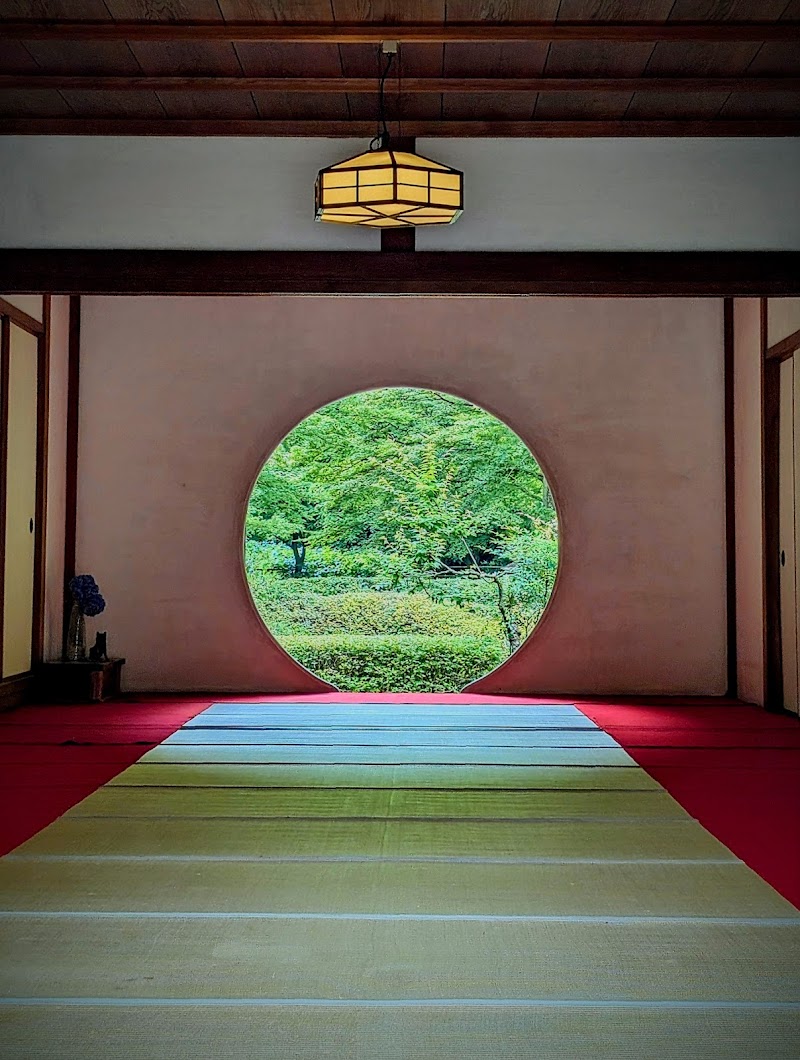 明月院（あじさい寺）