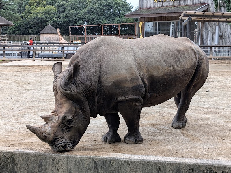 東武動物公園