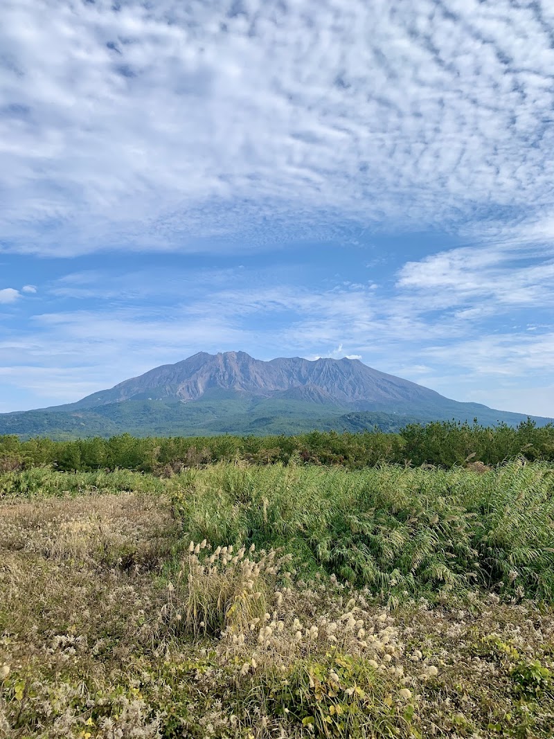 桜島溶岩なぎさ公園・展望台