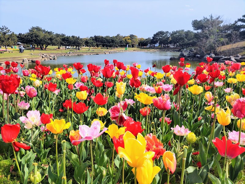 海の中道海浜公園