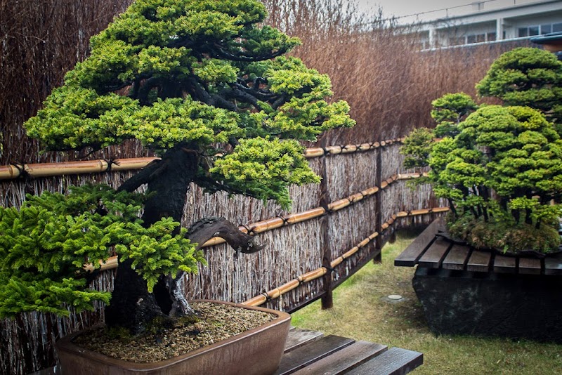 盆栽美術館（大宮盆栽美術館）