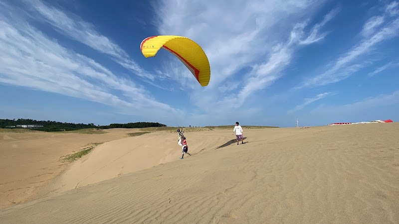 砂丘パラグライダー