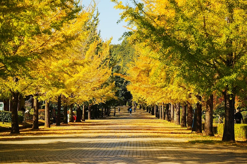 秩父ミューズパーク