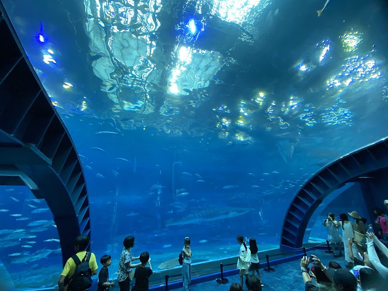 美ら海水族館