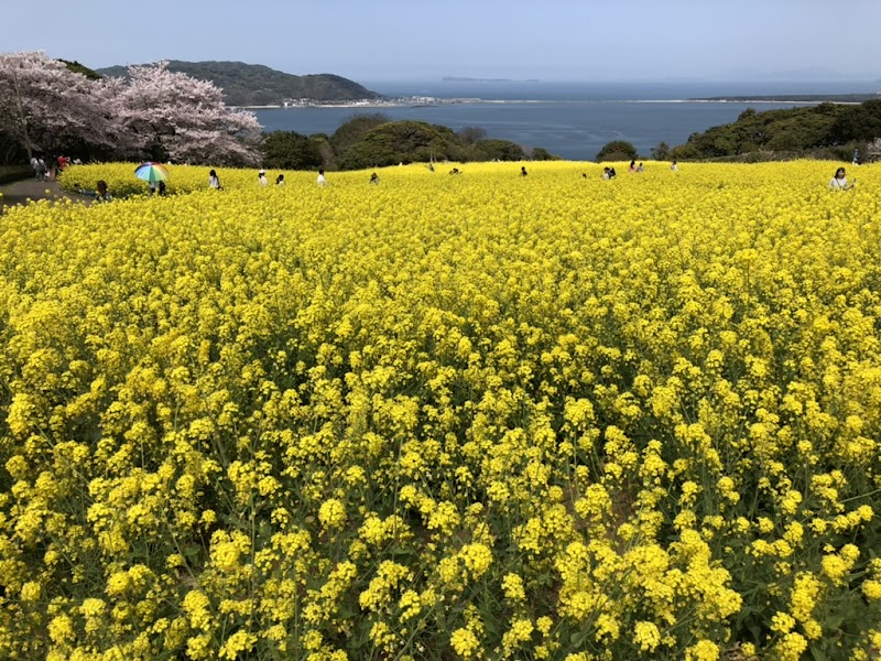 能古島（のこのしま）