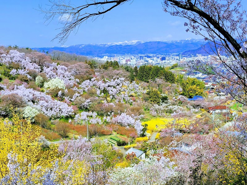 花見山公園