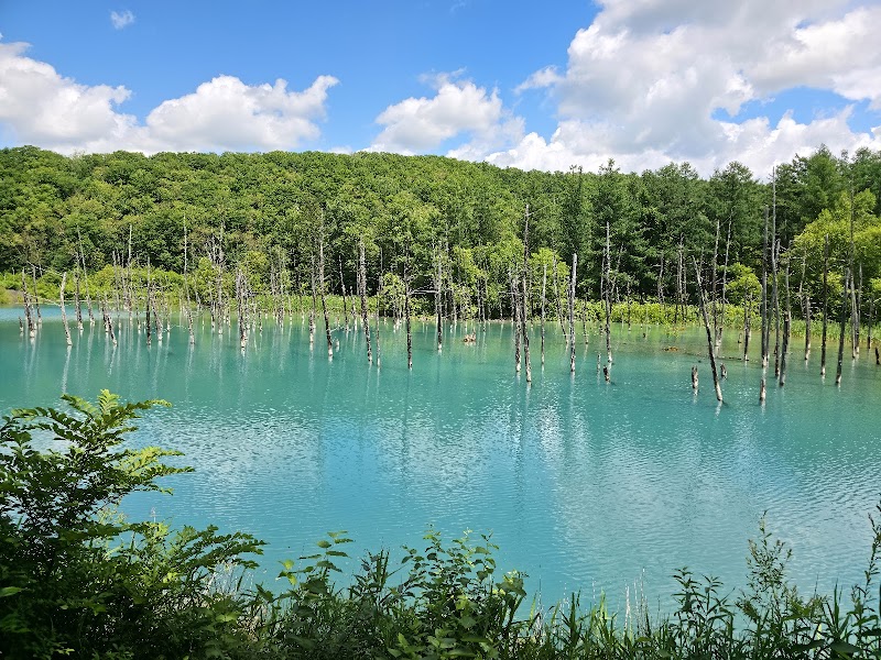 青い池（白金青い池）